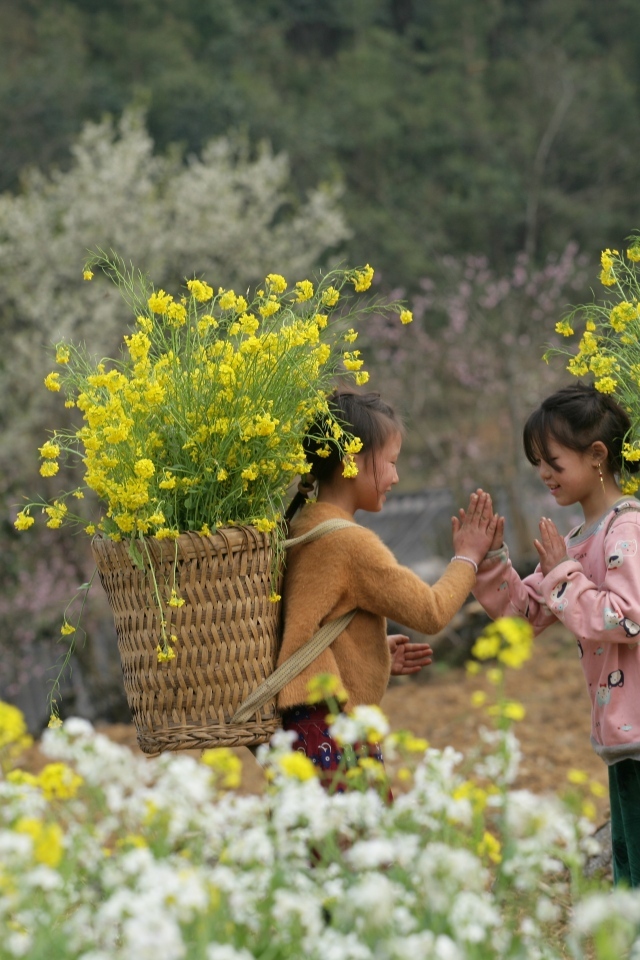Две маленькие девочки азиатки с корзинами с желтыми цветами