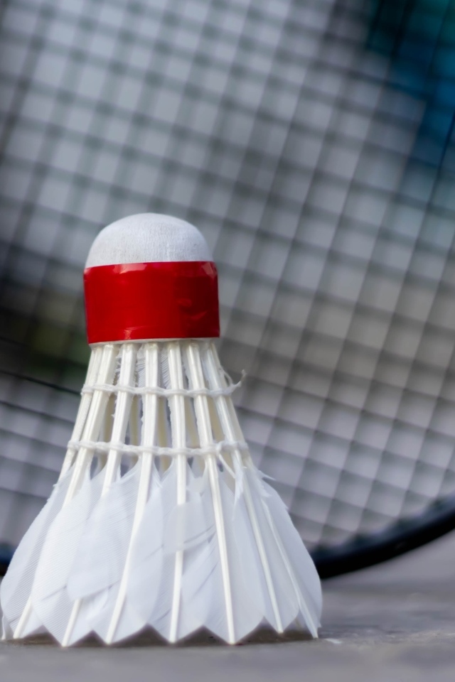 Белый воланчик и ракетка для игры в бадминтон