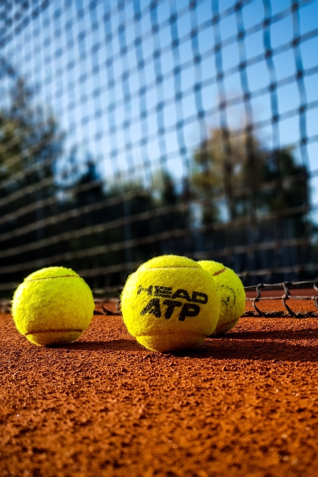 Желтые теннисные мячи на поле у сетки