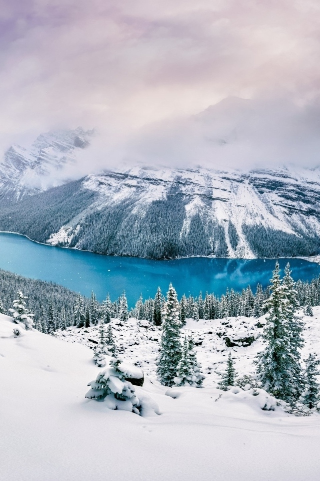 Вид на заснеженные горы, лес и реку