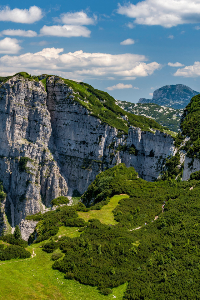 Вид на покрытые зеленью Австрийские Альпы
