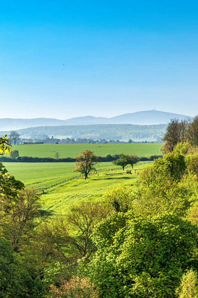 Зеленые деревья под голубым небом, Германия