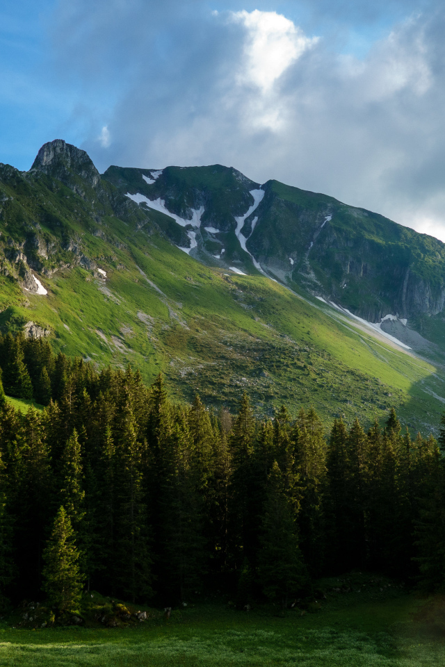 Вид на покрытые растительностью Альпы, Швейцария
