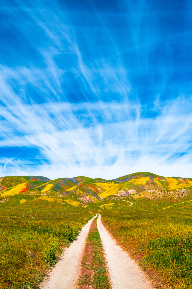 Красивое голубое небо над национальным парком, США