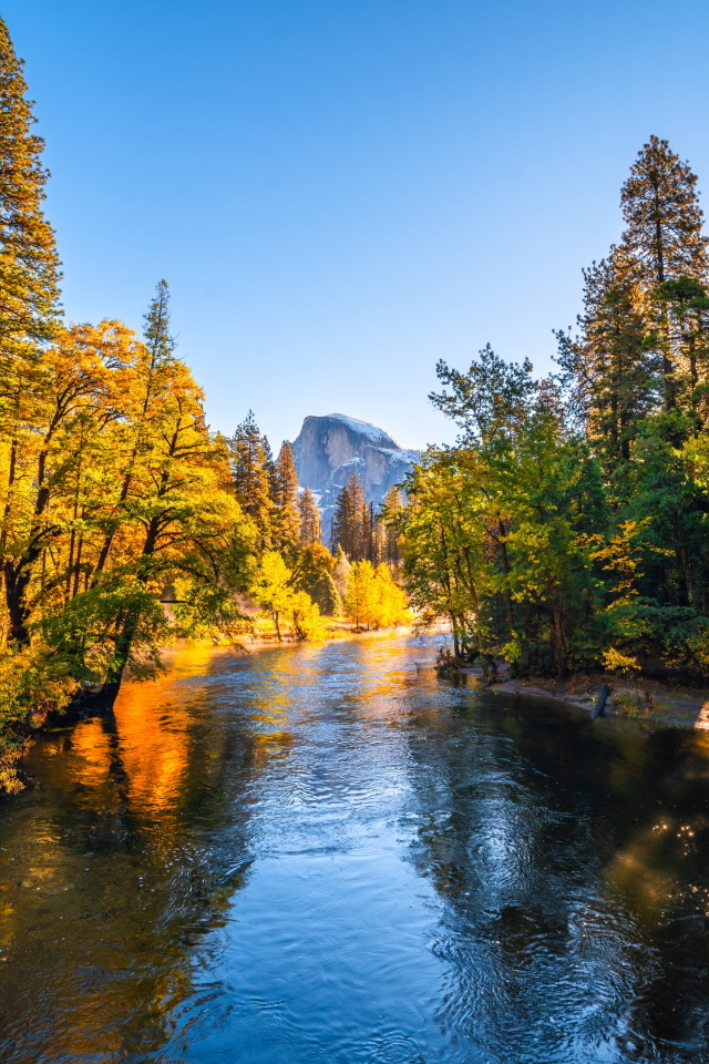 Река в осеннем парке, США