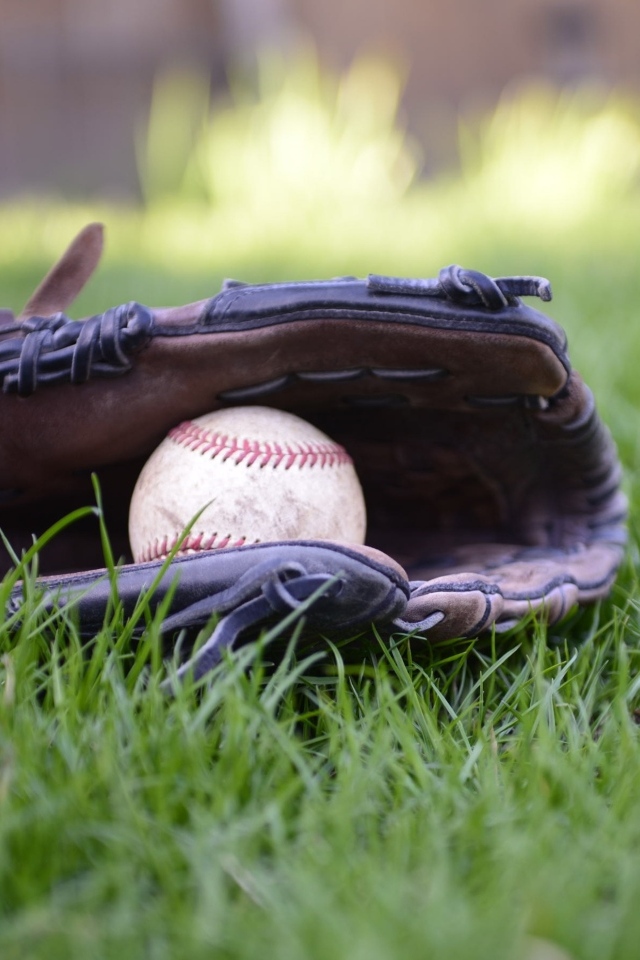 Бейсбольная перчатка и мяч на зеленой траве