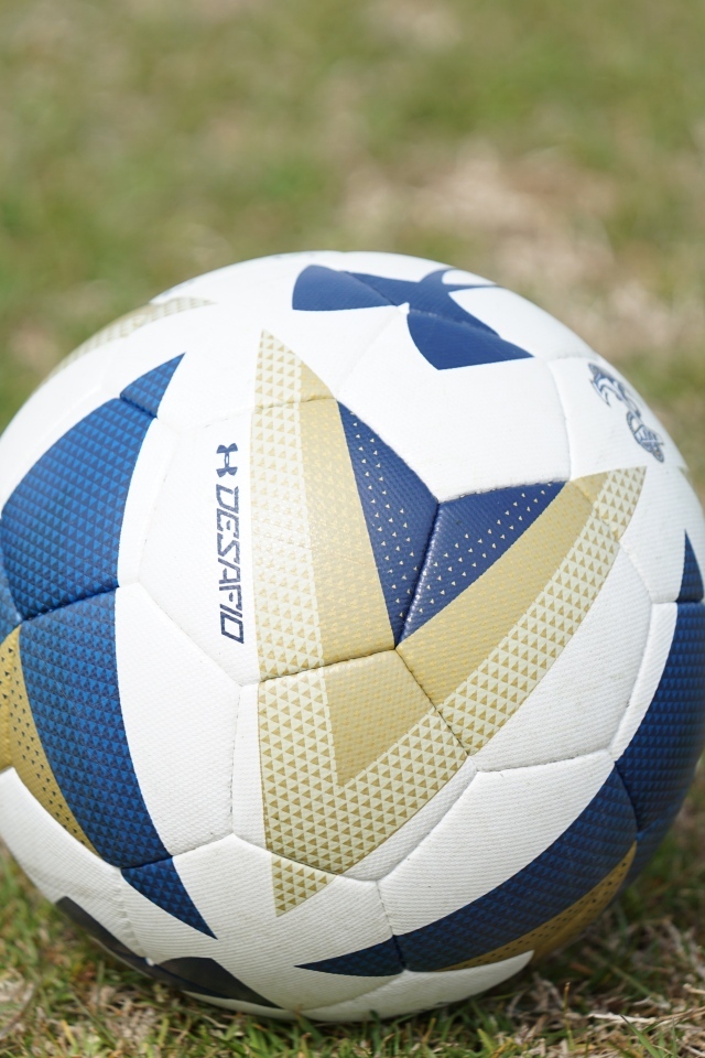 Большой футбольный мяч на поле