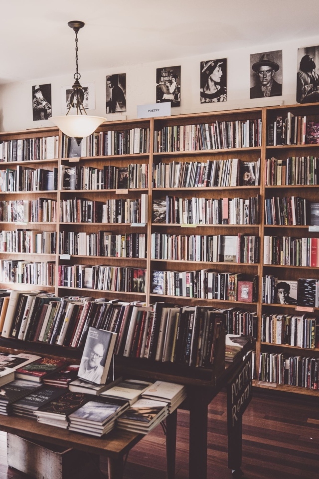 Большой шкаф с книгами в гостиной комнате