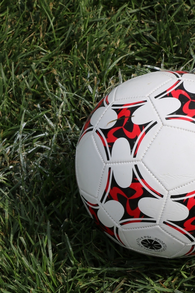 Кожаный футбольный мяч на зеленой траве