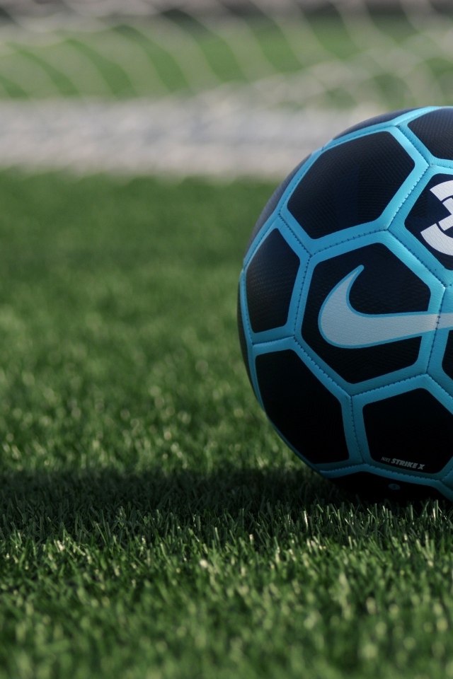 Новый кожаный футбольный мяч на поле