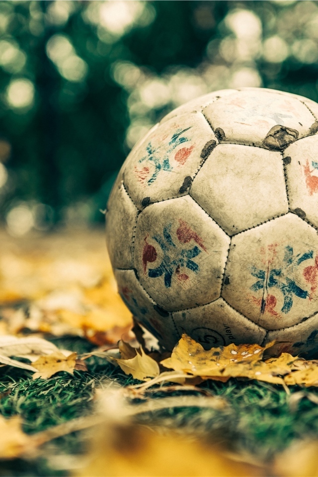 Старый футбольный мяч на листве 