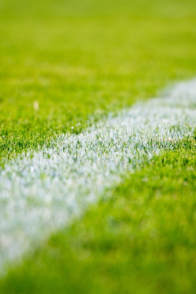 Белая полоса на футбольном поле