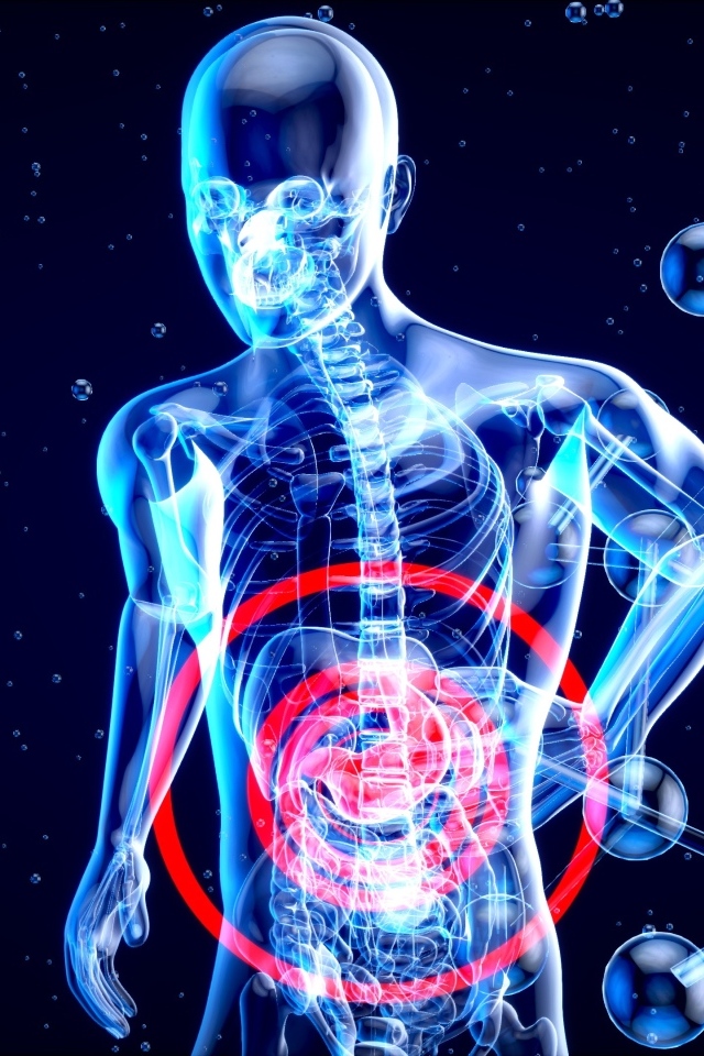 Скелет человека с  клетками на синем фоне