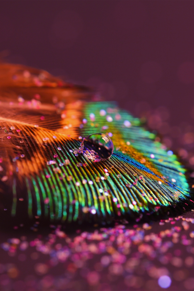 Красивое перо павлина с блестками
