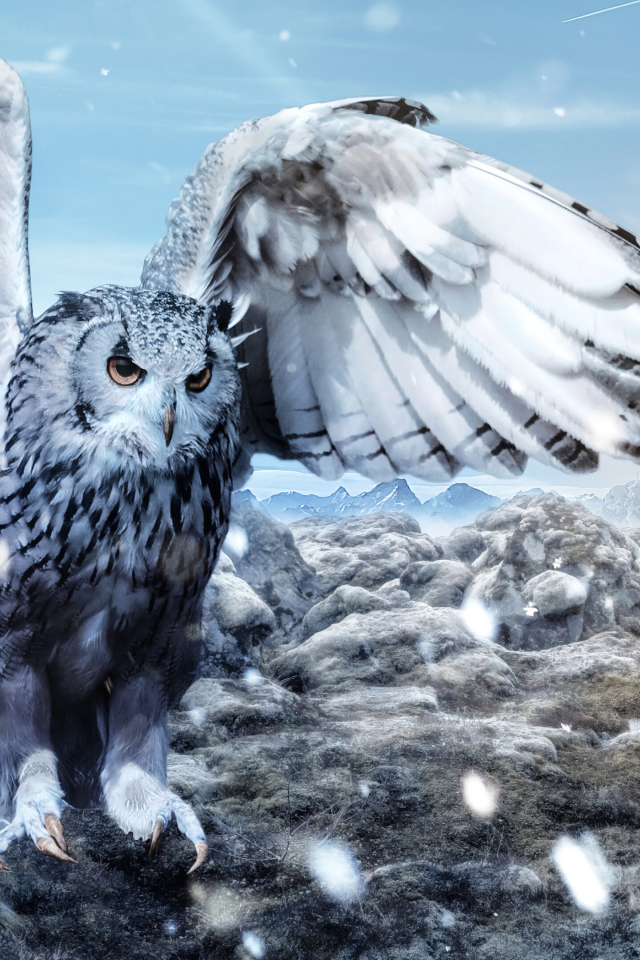 Большая сова расправила крылья 