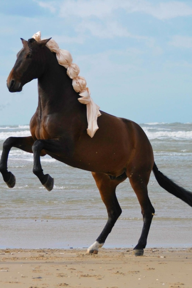 Большая коричневая лошадь на песке у моря