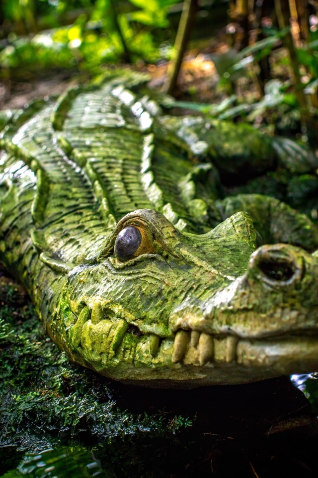 Большой зеленый крокодил у воды