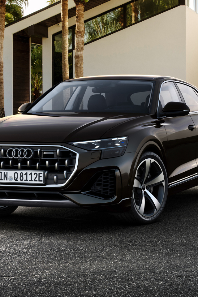Черный автомобиль  Audi Q8 55 TFSI E Quattro 2024 года