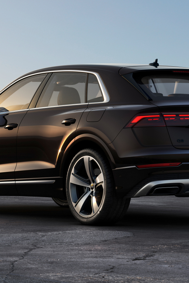 Вид сзади на черный автомобиль Audi Q8 55 TFSI E Quattro 2024 года