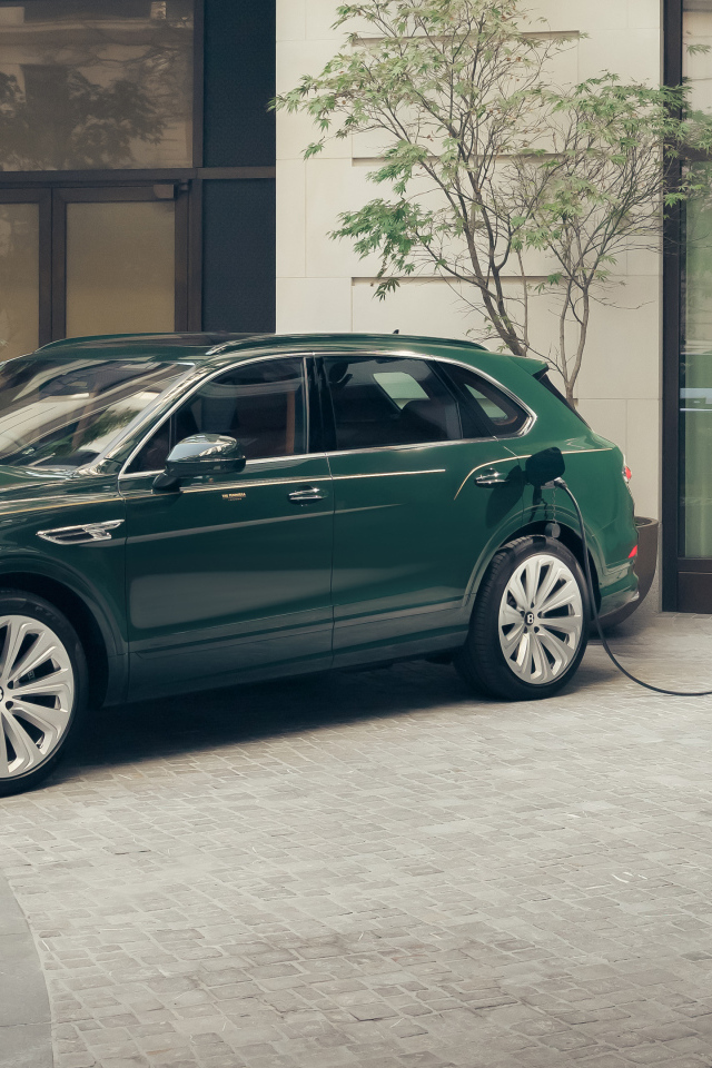 Зеленый автомобиль Bentley Bentayga Hybrid Peninsula London 2024 года