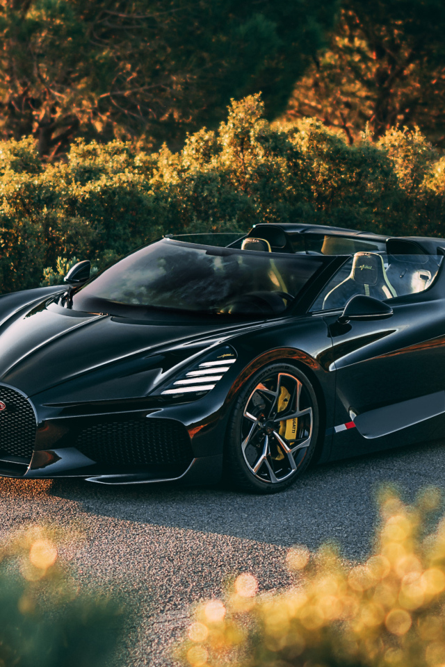 Черный быстрый автомобиль Bugatti W16 Mistral