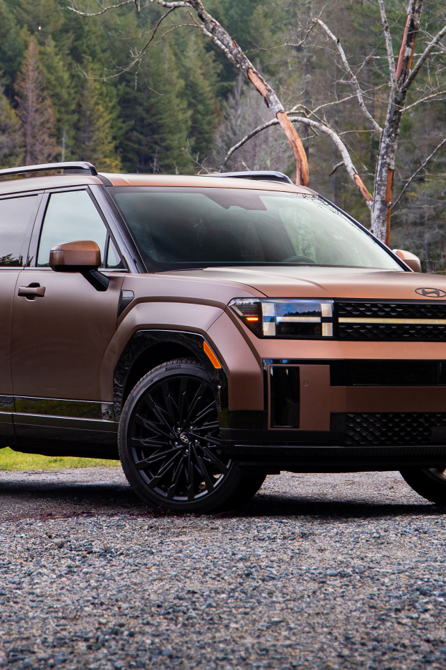 Внедорожник Hyundai Santa Fe Calligraphy 2024 года