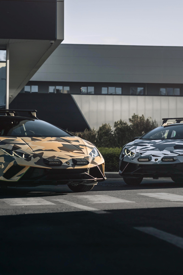 Два автомобиля Lamborghini Huracán Sterrato All-Terrain Ad Personam 2024  года