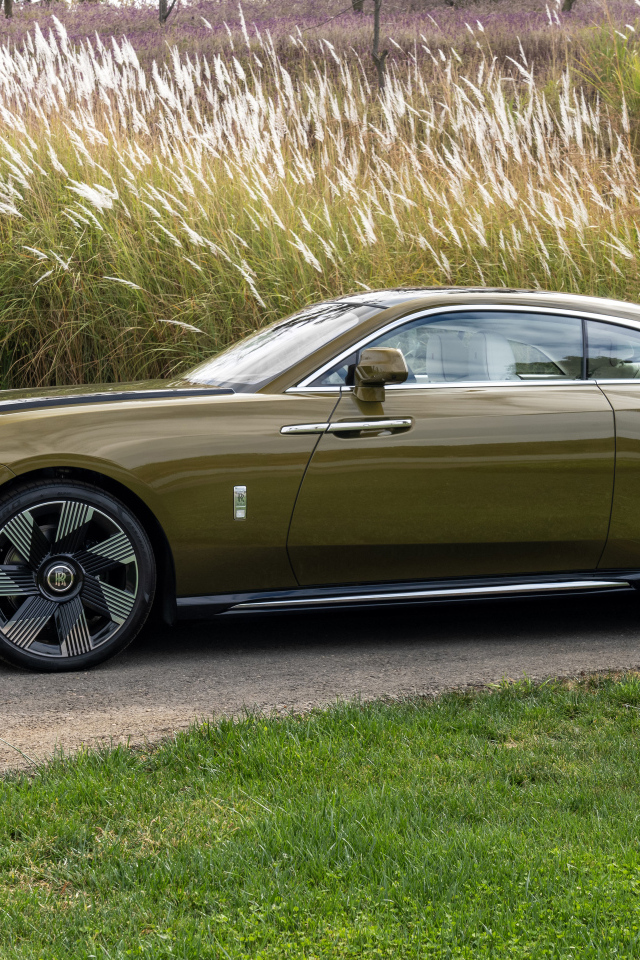 Оливковый автомобиль Rolls-Royce Spectre у высокой травы