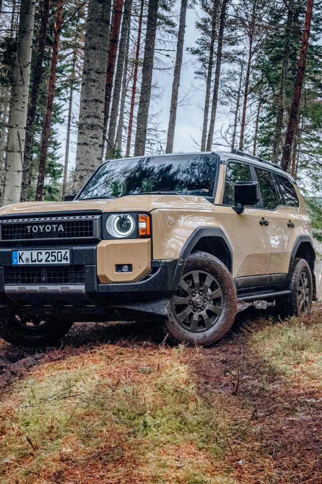 Внедорожник Toyota Land Cruiser First Edition в лесу
