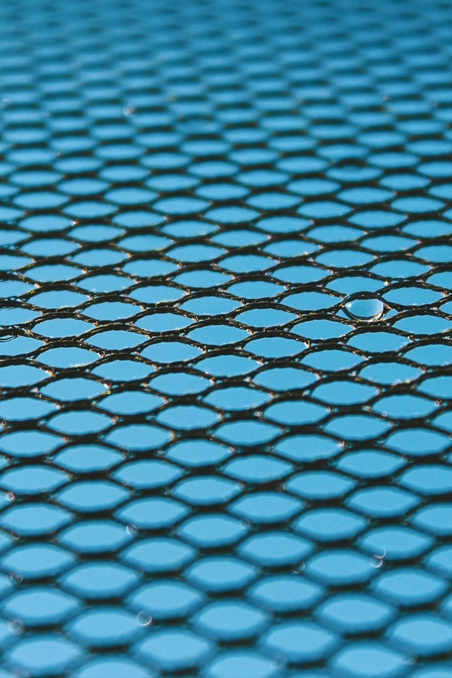 Черная сетка на голубом для фона