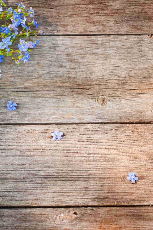 Голубые цветы незабудки на деревянном фоне