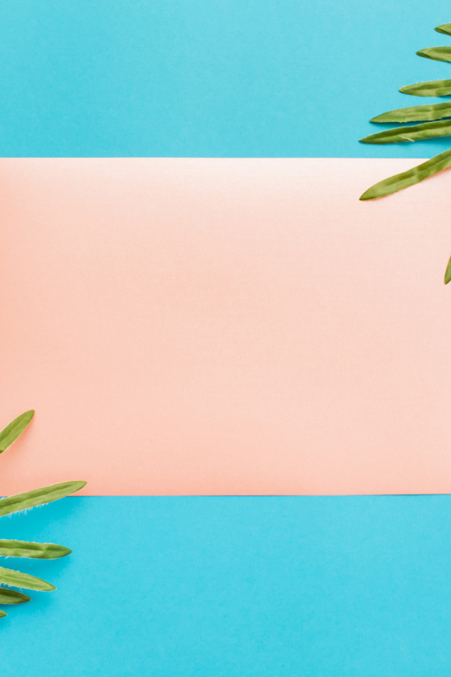 Лист бумаги и два зеленых листа на голубом фоне