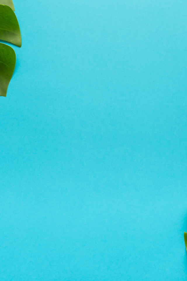 Два зеленых листа на голубом фоне