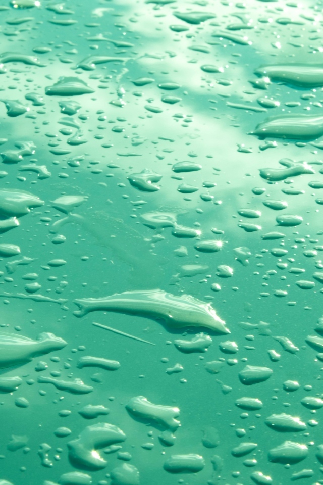 Капли воды на зеленом фоне