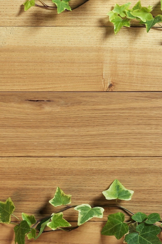 Деревянный фон с листьями плюща