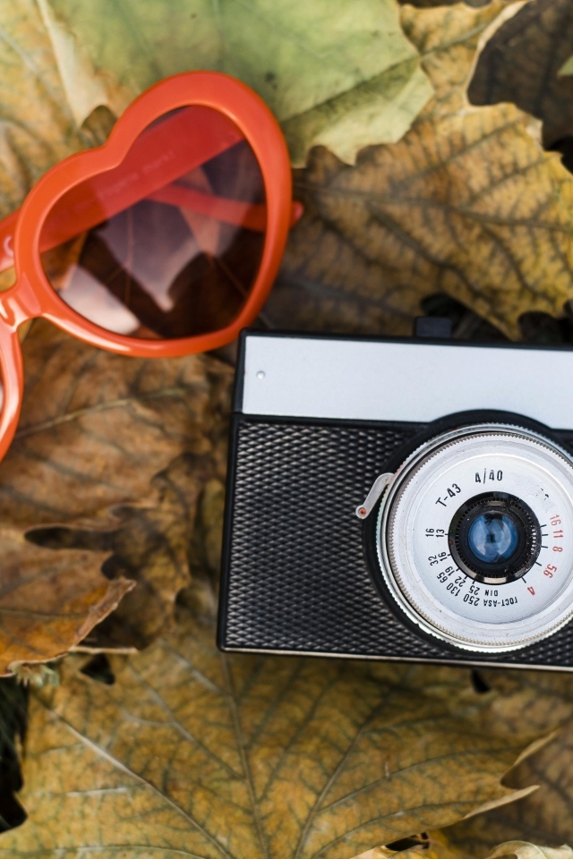 Фотоаппарат с очками на опавшей листве