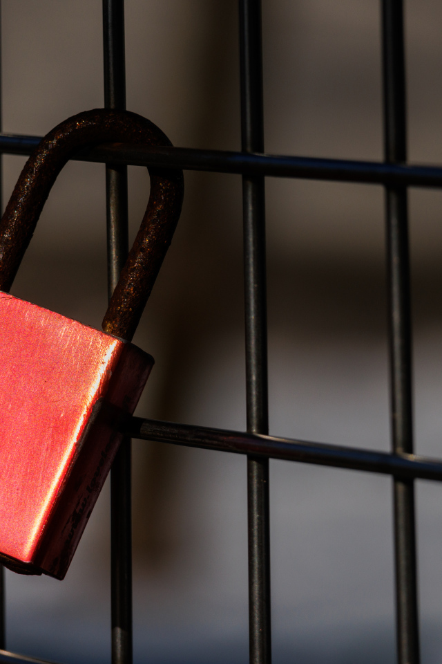 Красный замок на сетке 