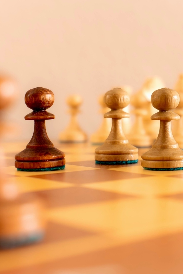 Деревянные шахматные фигуры на доске