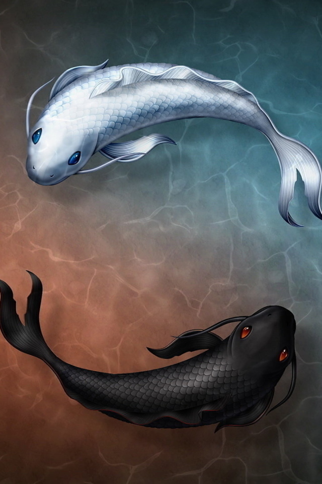 Черная и белая нарисованные рыбы в воде