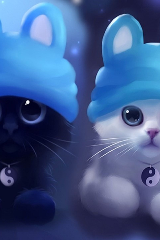 Два котенка инь и янь в шапках