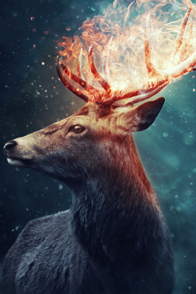 Олень с огненными рогами на черном фоне
