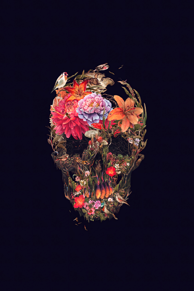 Череп из цветов на черном фоне