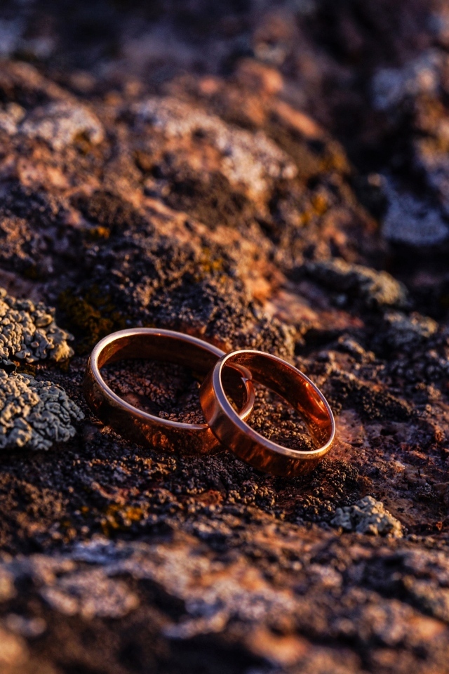 Два обручальных кольца на земле