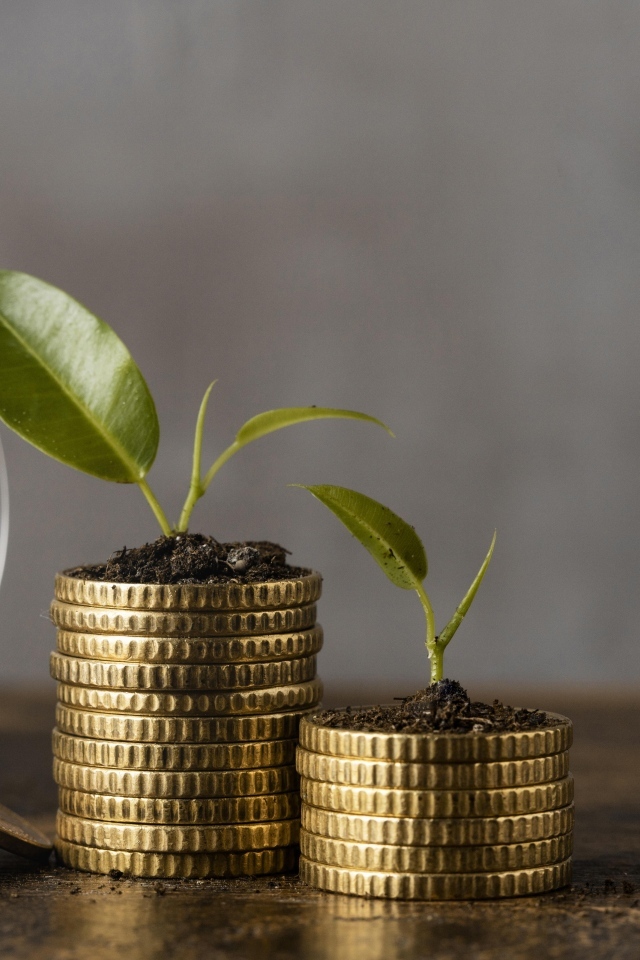 Зеленые ростки с золотыми монетами на столе