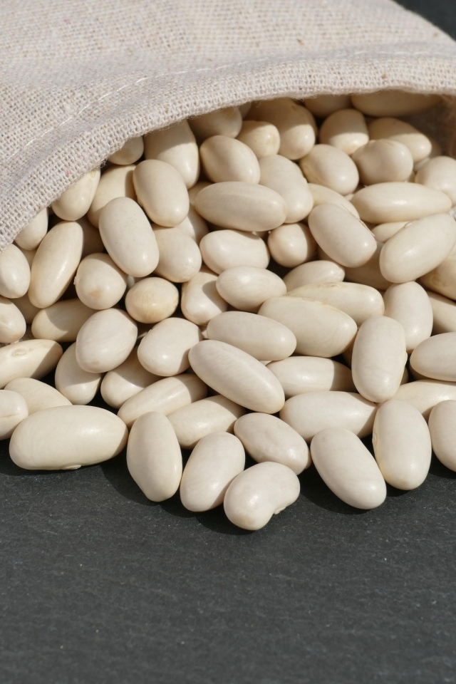 Фасоль в мешочке на сером столе