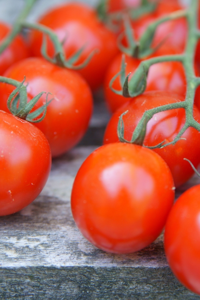 Веточки с красными помидорами на столе