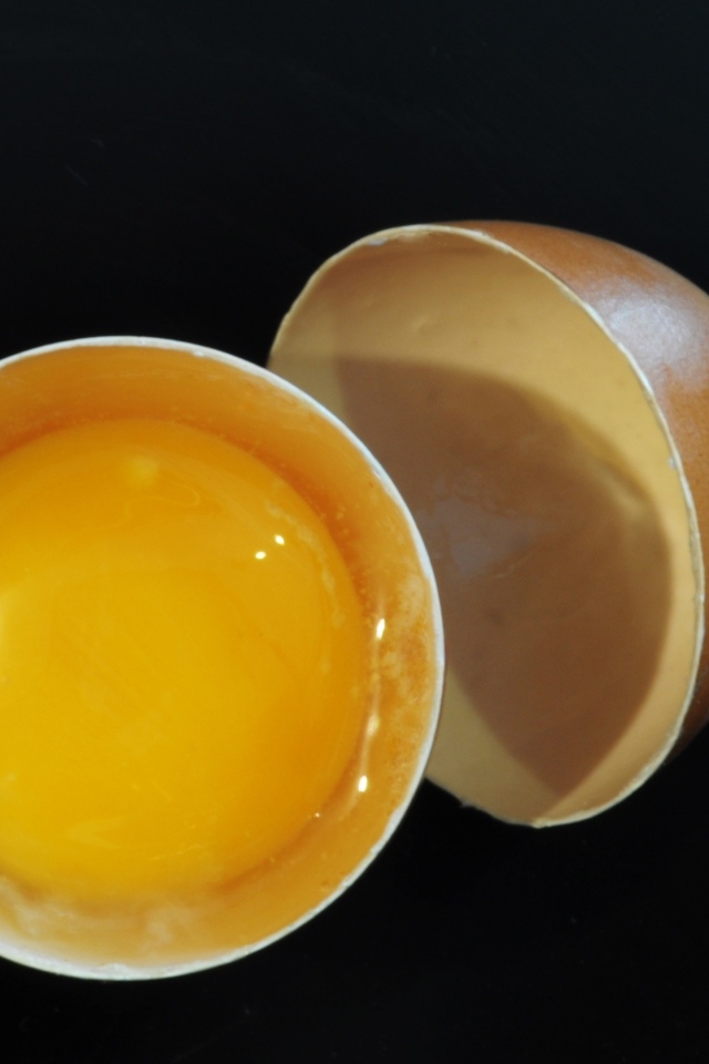 Разбитое яйцо с желтком на черном фоне