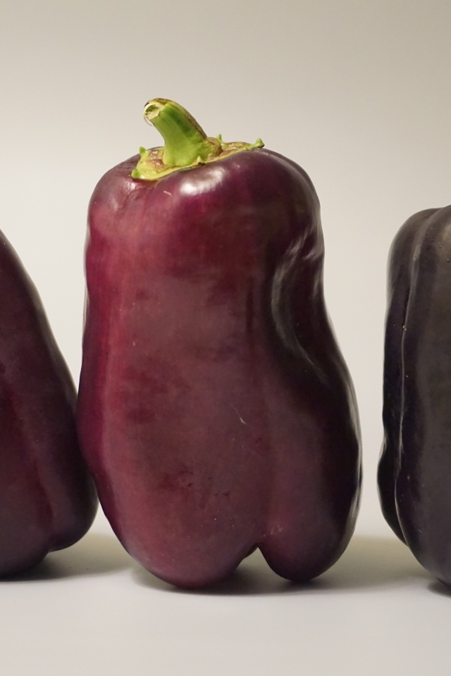 Баклажаны на сером фоне