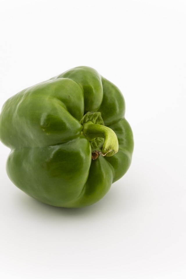 Зеленая паприка на белом фоне