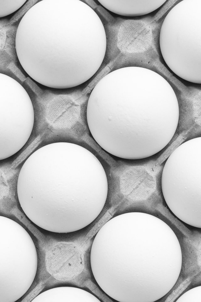 Много белых яиц в подставке на столе